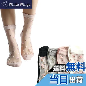 �y���������z[FASELE] �C�� �\�b�N�X���f�B�[�X �ėp�\�b�N�X �Z�b�g ���킢�� ���[�X �ԕ� �`�F�b�N �X�g���C�v ���� �����p ������ ������� ���� ���� �t�ėp �h�L ����Ȃ� 22-25cm