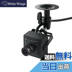 �y���������zREVODATA 5MP POE �~�j IP �J�����A360 �x�����\�}�E���g�AUltraHD �������^�Z�L�����e�B �J���� 3.6mm �����Y (75° FOV)�A���[�V�������o�AH.265/H.264�A�X�}�[�g�t�H��/PC �A�v�� (I706ZJ-P-TS)