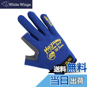 �y���������zmazume ���C�g�O���[�u�i2�{�J�b�g�jMZGL-S716-05 �l�C�r�[ L