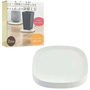 �y���������zideamall �A�ؔ��� �v�����^�[�p��M ����v���[�g �t�����[�X�^���h ���� ���|���b�N ���u�� �L���X�^�[�t�� (315mm, ���C�g�O���[)