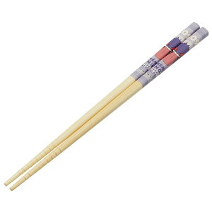 yzXP[^[(Skater) |S  | 21cm |PbgX^[ QK[  ANT4-A