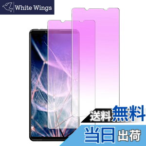 �y���������zDXFAU Xperia 5 III �p �K���X�t�B���� �y2������z �u���[���C�g�J�b�g SOG05 SO-53B �t�B���� �G�N�X�y���A 5iii �����K���X �t���ی�t�B���� �d�x9H �C�A�[�� �����Ȃ� �w��h�~ �\��