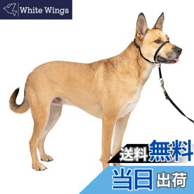 【送料無料】PetSafe（ペットセーフ） ジェントルリーダー 引っ張り防止 ヘッドカラー 犬用 散歩トレーニング【ブラック Mサイズ】