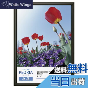 �y���������z�n�N�o HAKUBA �A���~�z�� �y�I���A A3�T�C�Y �u���b�N �|�X�^�[�t���[�� �t�H�g�t���[�� �O��PET�� �݂�R�t��FAPE-BKA3
