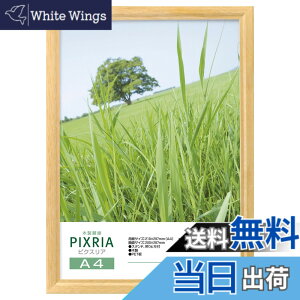 �y���������z�n�N�o HAKUBA �ؐ��z�� �s�N�X���A A4�T�C�Y �i�`������ �|�X�^�[�t���[�� �t�H�g�t���[�� �O��PET�� �݂�R�t��FWPX-NTA4