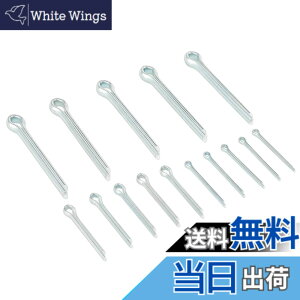 �y���������z�L�W�}(Kijima) ����s�� �X�`�[�� 1.6/2.5/4.0 �e5�Z�b�g 303-174
