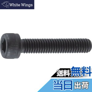 �y���������z�g���X�R���R(TRUSCO) �Z�p���t�{���g �����ߑS�l�W M5x20 61�{�� B30-0520