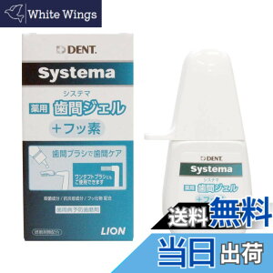 �y���������zLION ���C�I�����ȍ� DENT.EX �V�X�e�}��p���ԃW�F�� 20ml
