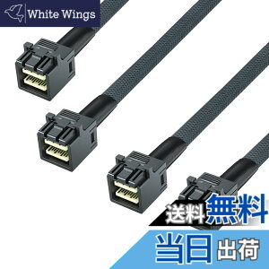 �y���������z10Gtek ���� Mini SAS HD SFF-8643 �P�[�u��, �T�C�h�o���h�t��, 0.5���[�g��, �܂肽���ݎ�, �t���L�V�u��, 2�{��