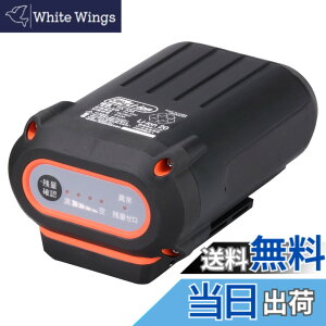 �y���������z�H�i(KOSHIN) �X�}�[�g�V���[�Y �o�b�e���[�p�b�N 36V 2.5Ah PA-334