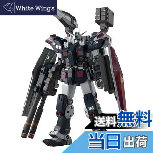 �y���������zMG �@����m�K���_�� �T���_�[�{���g �t���A�[�}�[�E�K���_�� Ver.Ka (GUNDAM THUNDERBOLT��) 1/100�X�P�[�� �F�����ς݃v�����f��