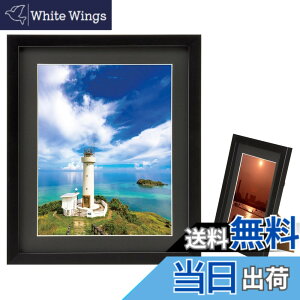 �y���������z�n�N�o HAKUBA �z�� MM-01 6�� �ؐ� �X�^���h�t �u���b�N FWMM01-BK6
