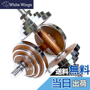 �y���������zPROIRON �_���x�� 10kg 2�Z�b�g�v�V�I�ȃE�H�[���i�b�g�E�|����20kg �� �_���x�� �A���[ ��d�A���`���[�Y���b�N�ی� �؃g���_���x�� �E�F�C�g�t�B�b�g�l�X �z�[���W����