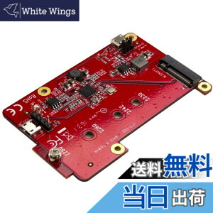 �y���������zStarTech.com ���Y�x���[�p�C/Raspberry Pi�pUSB - M.2 SATA�ϊ���� ���Y�p�C�d�q�H��/�J���{�[�h PIB2M21