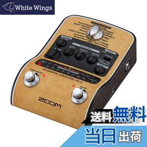 �y���������zZOOM �Y�[�� AC-2 �A�R�[�X�e�B�b�N�M�^�[�p�v���A���v �y�������K�i/3�N�����t�z �s�G�]/�}�O�l�Ή� 16��v���Z�b�g DI�@�\ XLR�o�� �d�r�쓮�Ή� �x�[�W�� AC�A�_�v�^�[�t�� AC�V��