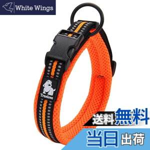 �y���������zcocomall���{�����X ����� ���̎�� ���p�P����� ���^�A���^�A��^���p��� �y�b�g�p�i 3M���ˍޗ� �i�C������ �ʋC�� �e�͐� �\�t�g ���߉\ (L, �I�����W)