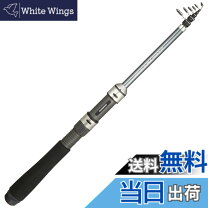 楽天市場】シマノ ホリデーパック 10-270の通販