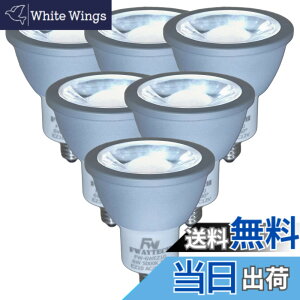 �y���������zFwaytech LED�d�� EZ10���� �����F ����d��6W LED�X�|�b�g���C�g 12V �_�C�N���n���Q��50W-60W���� �����Ή� (�����F����(5000K), 6W EZ10����(6��))