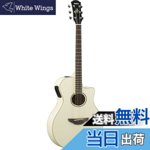 �y���������z���}�n YAMAHA �G���A�R�M�^�[ APX600 VW