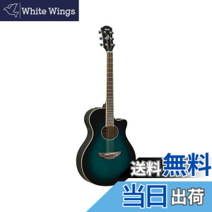 �y���������z���}�n YAMAHA �G���A�R�M�^�[ APX600 OBB �I���G���^���u���[�o�[�X�g(OBB)
