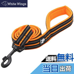 �y���������zIKENOKOI���p���[�h 3M���ˑf�� ����~�� ��� ���^�� ���^�� ��^���p ���o���� ���U���i�I�����W 2.5*110cm�j
