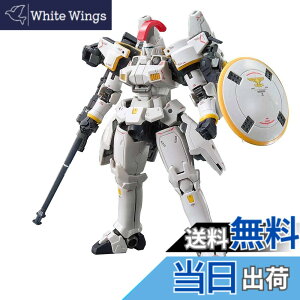 �y���������zRG �V�@����L�K���_��W Endless Waltz �g�[���M�X EW 1/144�X�P�[�� �F�����ς݃v�����f��