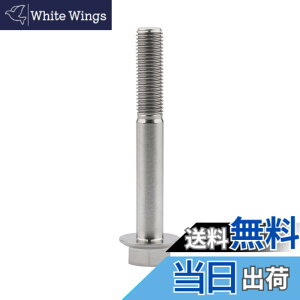 �y���������zDingtai �`�^���t�����W�{���gM10 x20 25 30 35 40 45 55 60 65 70 75 80 100mm 1.25mm �t�����W�˂� (M10x75mm) [���s�A���i]