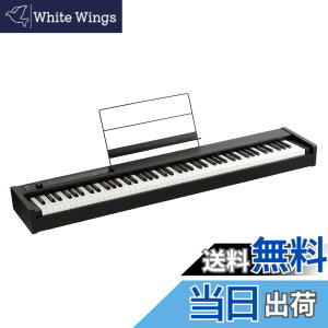 �y���������zKORG(�R���O) �d�q�s�A�m D1 88����/���S��/���{����RH3����/�_���p�[�y�_��/���ʗ��ĕt��/�����A�ŉ\ �u���b�N