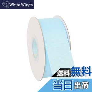 �y���������z�yIDECORRIBBONS�z�|���G�X�e���O���O�������{�� # 305�x�r�[�u���[