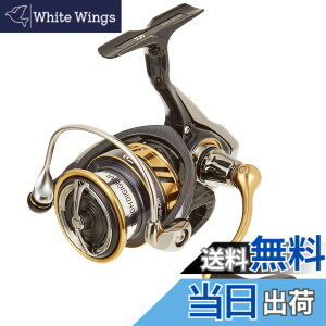 �y���������z�_�C��(DAIWA) �X�s�j���O���[�� 18 ���K���X LT3000-CXH(2018���f��)