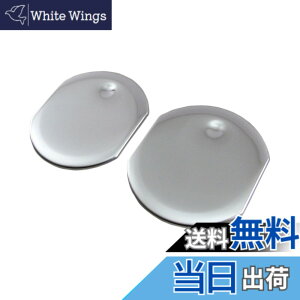 �y���������zBRIGHTZ �|���e 140 141 145 �����ʃX�e�����X���b�L�G�A�R�����[�o�[�J�o�[ 2PC �y INT-ETC-161-2PC �z NCP141 NCP145 NSP140 NSP141 NCP NSP P140 P141 P145 29932