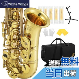 【送料無料】Eastar アルトサックス E Saxophone ゴールドラッカー サクソフォン ケース付き お手入れセット クリスマス(演奏用) AS-3