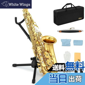 �y���������zEastar �T�b�N�X �A���g�T�b�N�X Eb Saxophone �S�[���h���b�J�[ �T�N�\�t�H�� �P�[�X�t�� �������Z�b�g �T�b�N�X ���S�� AS-2