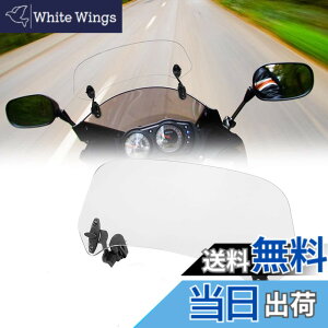 �y���������zAlpha Rider �E�C���h�X�N���[���G�N�X�e���V���� �E�C���h�V�[���h �g�� �X�|�C���[�G�A�f�t���N�^�[���h �N���b�v�I�� �ėp BMW G310GS F800GS R1200GS LC/ADV ���ɓK�p �N���A ����