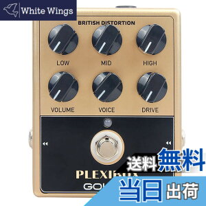 �y���������zGOKKO AUDIO �A���v �V�~�����[�^�[ �y�_�� �G�t�F�N�^�[ �u���e�B�b�V�����b�N�T�E���h PLEXIBOX GK-36