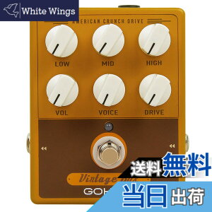 �y���������zGOKKO AUDIO �A���v �V�~�����[�^�[ �t�F���_�[�A���v�̉� �y�_�� �G�t�F�N�^�[ Vintage Box American Sound GK-33