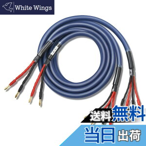 �y���������z�y�o�C���C���[�z WYVERN AUDIO �ɑ� �������x�� 12�c �o�i�i�v���O�t �����i HIFI �o�C���C�������O�ڑ� �o�C���C���[ �X�s�[�J�[�P�[�u�� 2�{1�g LR�Z�b�g �yWVA-04BW12�z �i�u���[�j 2.