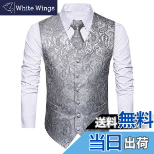 �y���������z[HISDERN] �V���o�[ ������ �����Y �t�H�[�}���x�X�g �r�W�l�X �X�[�c �x�X�g �X���� V�l�b�N �傫���T�C�Y �j�� �畞 L V3-01
