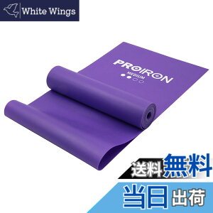 �y���������zPROIRON �X�g���b�`�o���h �t�B�b�g�l�X�o���h �G�N�T�T�C�Y �`���[�u ���e�b�N�X�t���[ ����~�� TPE�f�� ���h�� TPE�f�� ���h�� ���K �s���e�B�X �ؗ̓g���[�j���O�̂⃊�n�r��