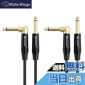 �y���������zCable Matters 2�{�Z�b�g �ґg�M�^�[�P�[�u�� - 3m�A�M�^�[ �V�[���h S-L�^�A 6.35mm���m�����v���O �y��p�P�[�u�� TS �X�g���[�g - L �^�v���O
