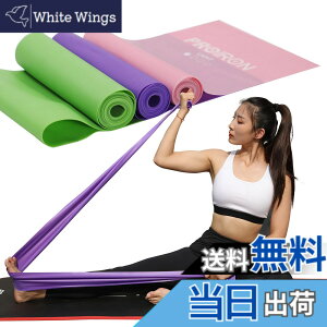 �y���������zPROIRON �X�g���b�`�o���h �t�B�b�g�l�X�o���h �G�N�T�T�C�Y �`���[�u ���e�b�N�X�t���[ ����~�� TPE�f�� ���h�� TPE�f�� ���h�� ���K �s���e�B�X �ؗ̓g���[�j���O�̂⃊�n�r��