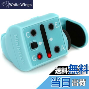 �y���������zKORG(�R���O) �E�N�����`���[�i�[ MiniPitch-BL �I�[�V�����E�u���[