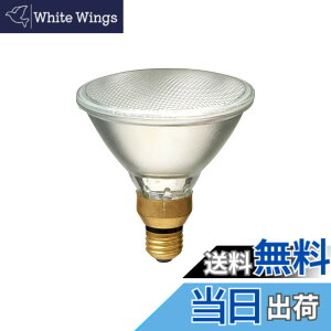 �y���������z�G���p(ELPA) �n���Q���r�[�������v�U��65W EBRF110V65W
