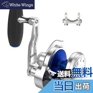 �y���������zWATACHAMP���^�`�����v �J���r�A���iCaribbean�j �W�M���O��p�x�C�g���[�� �啨�p ���o�[�h���O���[�� �p���[�n���h�� �S�g���������@�B���H �M�A��5.3:1 �ő�h���O��30kg �E��n��