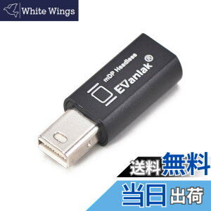 �y���������zEVanlak Mini DisplayPort �w�b�h���X�S�[�X�g�f�B�X�v���C�G�~�����[�^�[ PC 4K DP �_�~�[�v���O�p (�w�b�h���X1080-3840x2160@17hz�Ή�)