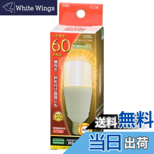 �y���������zLED�d�� T�` E17 60�`���� �d���F LDT6L-G-E17 IG92 06-3739 OHM �I�[���d�@