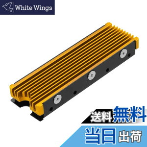 �y���������zM.2 2280mm SSD���ʃq�[�g�V���N�APC / PS5�p�T�[�}���V���R���p�b�h�t��M.2 PCIE NVMe SSD(�S�[���h)
