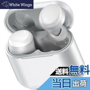 �y���������z�C���z�� bluetooth ���C�����X�C���z�� ���K���� ���ቹ�� �g�F�n���� �J�X�^��EQ�u���F�n�ɕϊ��\�v ��p�A�v���Ή� IPX8�h�� �y�� �ő��45���Ԃ̍Đ� AI �ʘb�� �m�C�Y�L����