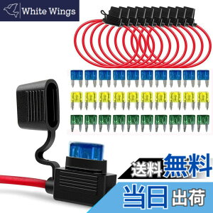 �y���������zGTIWUNG �q���[�Y�z���_�[ 12AWG 10�� ���ϋv �C�����C�� ATC/ATO ���^ �~�j���^ ��w �h���h�o 32V 30A �����ԗp�i�~�j���^�q���[�Y�p�j 30�u���[�h�q���[�Y