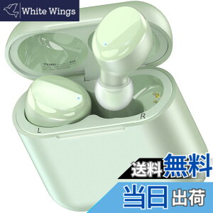 �y���������z�C���z�� bluetooth ���C�����X�C���z�� ���K���� ���ቹ�� �g�F�n���� �J�X�^��EQ�u���F�n�ɕϊ��\�v ��p�A�v���Ή� IPX8�h�� �y�� �ő��45���Ԃ̍Đ� AI �ʘb�� �m�C�Y�L����
